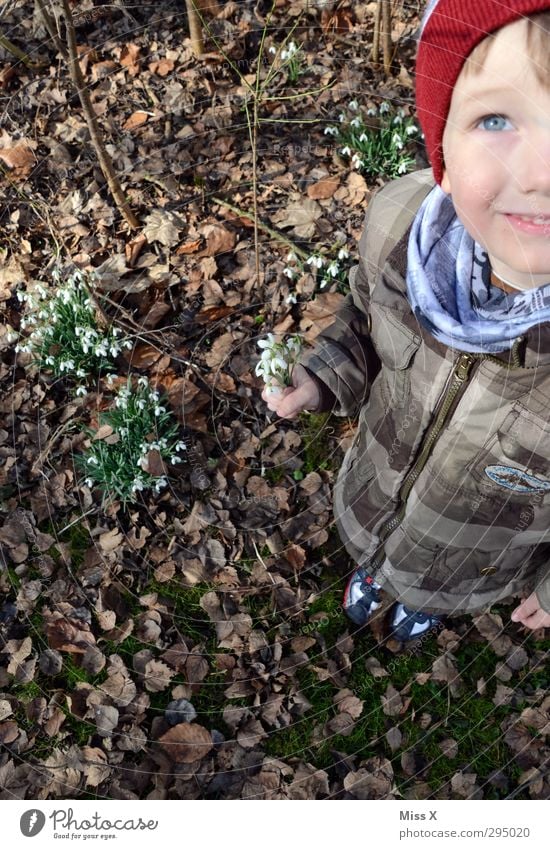 Snowdrops and blue eyes Human being Child Toddler Infancy 1 3 - 8 years Spring Plant Flower Blossom Friendship Bouquet Spring flowering plant Spring day Donate
