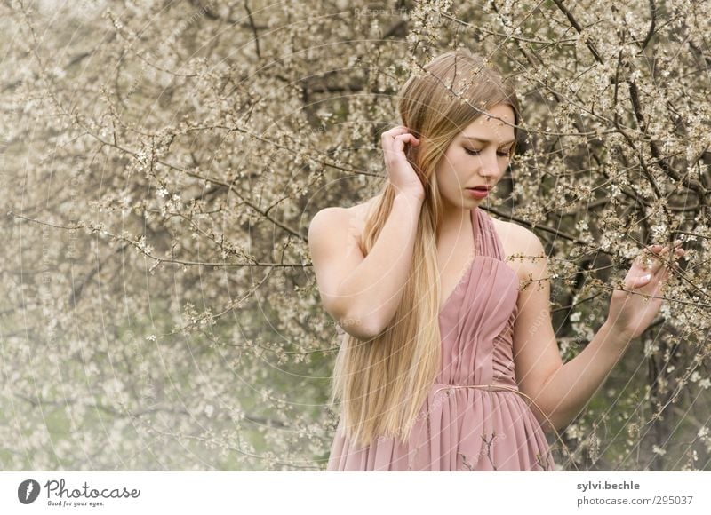 Spring coming?! Elegant Style Beautiful Hair and hairstyles Human being Feminine Young woman Youth (Young adults) Life 18 - 30 years Adults Environment Nature