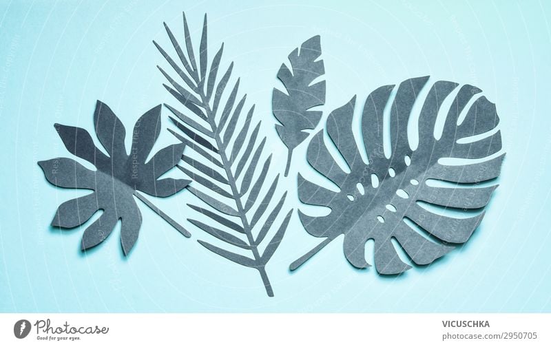 Turquoise tropical leaves composing on pastel blue background, top view, flat lay. Creative botanical layout. turquoise creative flowers pink minimal color