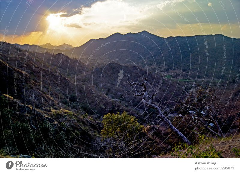 Aravalli Hills - India Environment Nature Landscape Plant Air Sky Clouds Horizon Sun Sunrise Sunset Sunlight Spring Weather Beautiful weather Tree Grass Bushes