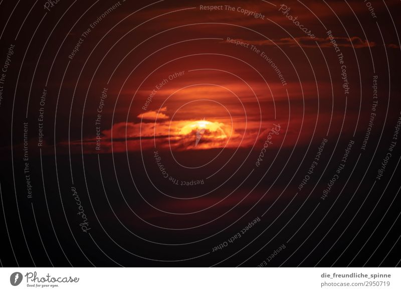 Mystic sunrise Sunrise Back-light Black Gold Sunset Red Yellow Exterior shot Twilight Sunlight Deserted Evening Landscape Sunbeam Sky Nature Light Clouds