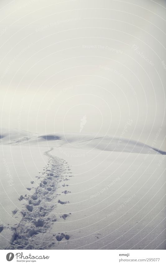 at last Environment Nature Landscape Sky Horizon Winter Snow Bright Cold Empty Tracks Snow track Far-off places Apocalyptic sentiment Colour photo