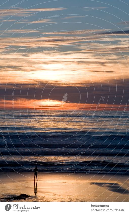 ocean Human being Masculine Man Adults 1 Elements Clouds Horizon Sunrise Sunset Summer Waves Coast Le Gurp Old Breathe Think Relaxation Stand Blue Moody Happy