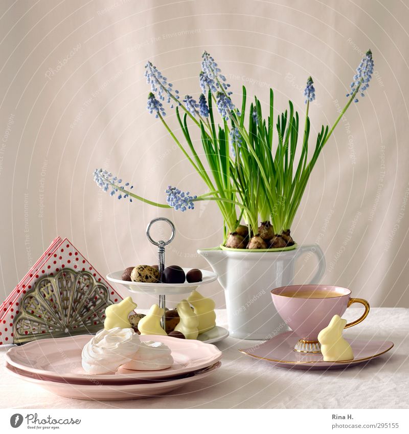 Easter Still II Candy Chocolate Coffee Crockery Plate Cup Jug Spring Pot plant Bright Pink Red Muscari Easter Bunny Easter egg Baiser napkins Interior shot