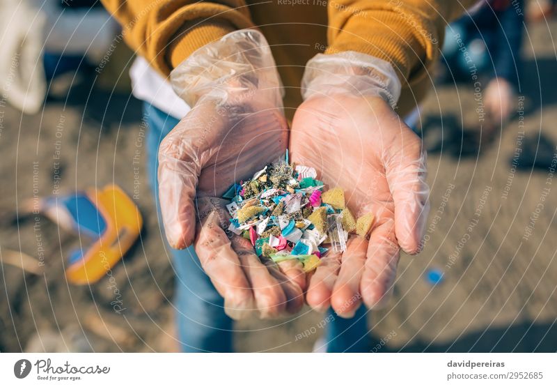 Hands with microplastics on the beach Beach Human being Man Adults Environment Sand Plastic Old Dangerous Teamwork Environmental pollution Indicate
