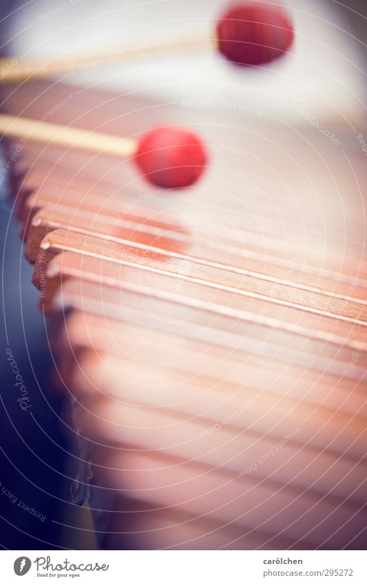 music Music Playing Marimba Xylophone Musical instrument Make music Red Drumstick Colour photo Close-up Detail Macro (Extreme close-up) Deserted
