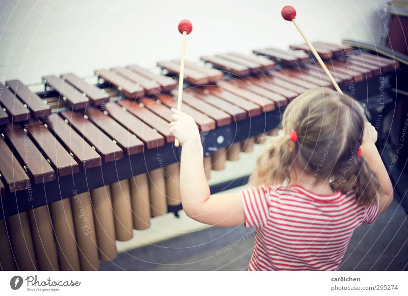 music Music Brown Red Musician Child Make music Xylophone Marimba Musical instrument music school Learn to play Colour photo Subdued colour Detail