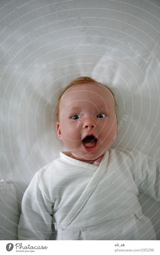 Fun in life Human being Baby Head 1 0 - 12 months Laughter Looking Happiness Happy Small White Joy Joie de vivre (Vitality) Colour photo Interior shot