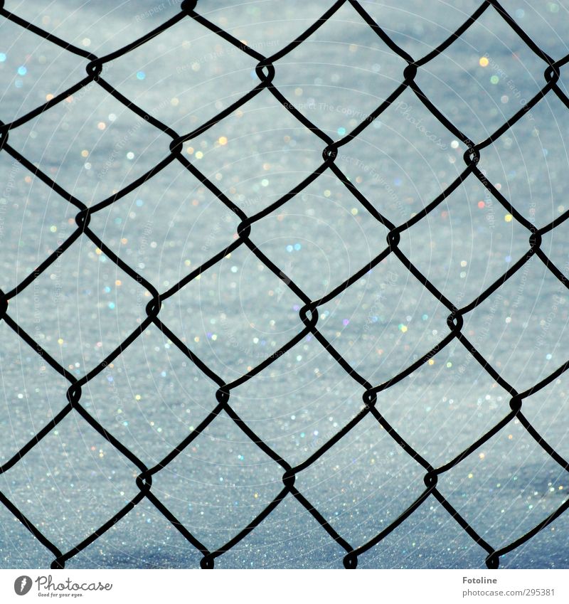 Jail for the winter Environment Nature Ice Frost Snow Cool (slang) Cold Fence Wire netting fence Colour photo Subdued colour Exterior shot Close-up Detail