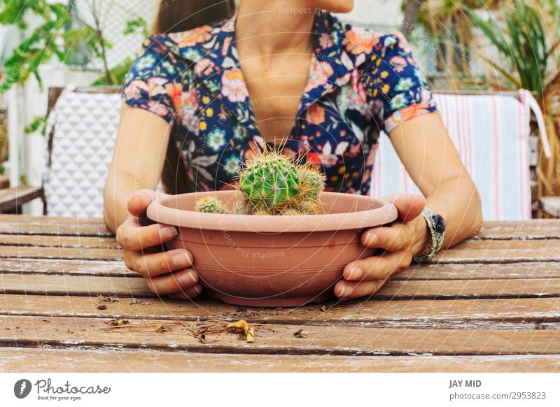 Closeup of a woman holding a pot of cactus in the terrace Pot Lifestyle Summer Garden Decoration Table Gardening Human being Woman Adults Hand 1 30 - 45 years
