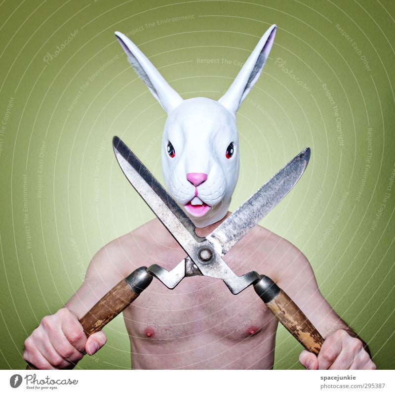 Happy Easter Human being Masculine Young man Youth (Young adults) Man Adults 1 30 - 45 years Animal Pet Animal face Hunting Fight Exceptional Creepy Uniqueness