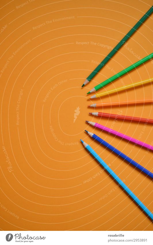 colour fan Leisure and hobbies Education Adult Education Workplace Closing time Art Stationery Paper Pen Draw Esthetic Happiness Orange Joie de vivre (Vitality)