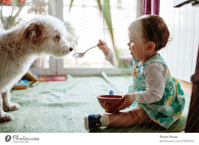Child feeding dog with spoon Lifestyle Human being Baby Toddler Girl 1 1 - 3 years Animal Pet Dog Eating To enjoy Friendliness Happiness Together Happy Funny