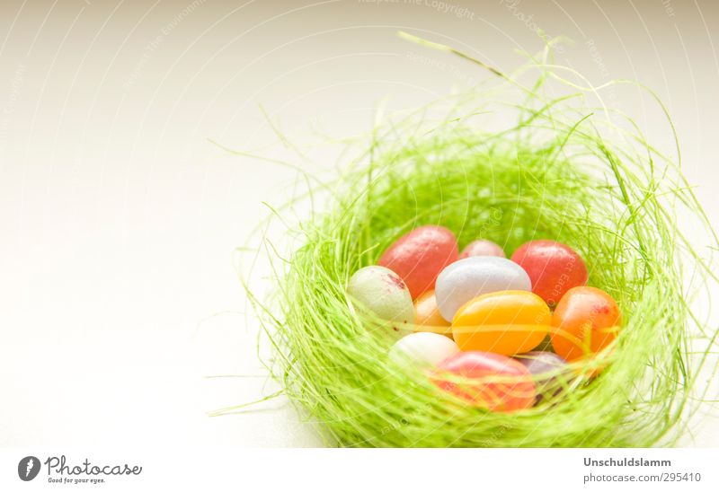 Easter greetings Candy Lifestyle Joy Living or residing Feasts & Celebrations Decoration Kitsch Odds and ends Easter egg nest Simple Bright Beautiful Uniqueness