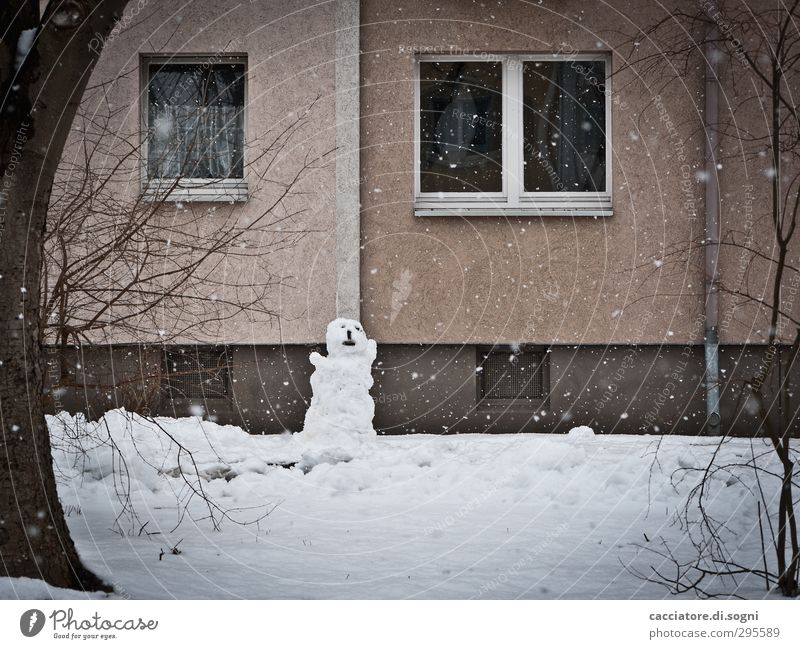 moaning Sculpture Winter Snow Snowfall Garden Deserted House (Residential Structure) Facade Window Snowman Stand Dark Cold Trashy Gloomy Brown White Longing