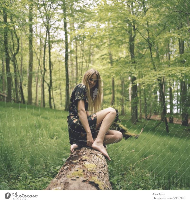 Young woman on a tree trunk in the forest Style Joy pretty Life Trip Youth (Young adults) Legs 18 - 30 years Adults Nature Landscape Spring Summer