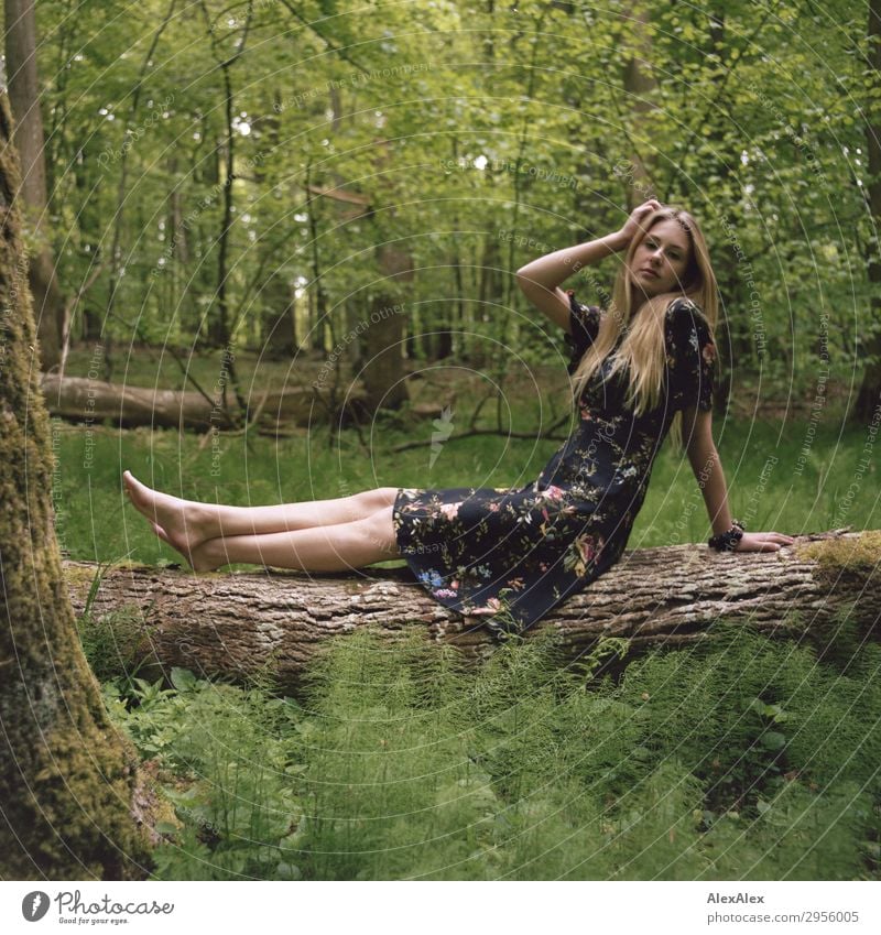 Young woman on a tree trunk in the forest Style pretty Life Trip Youth (Young adults) Legs 18 - 30 years Adults Nature Plant Beautiful weather Tree Forest Dress