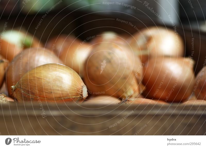 Market observation: Onions Food Vegetable Herbs and spices Nutrition Eating Organic produce Vegetarian diet Slow food Healthy Eating Gastronomy Markets