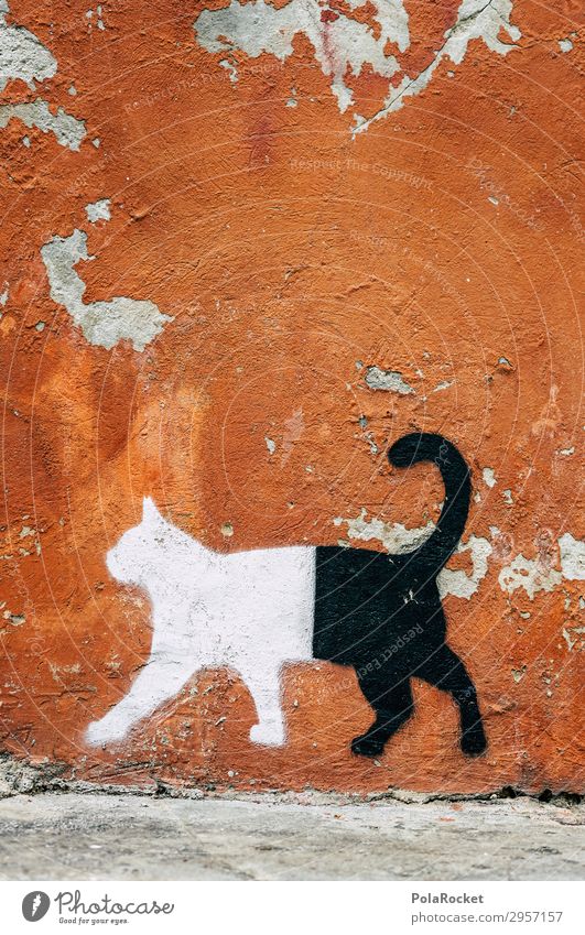 #S# whitecatblack Pet Esthetic Cat Graphic artist Graffiti Art Contrast White Black Two-piece Divided Orange Sweet Varnished Walking Cat lover Good Evil
