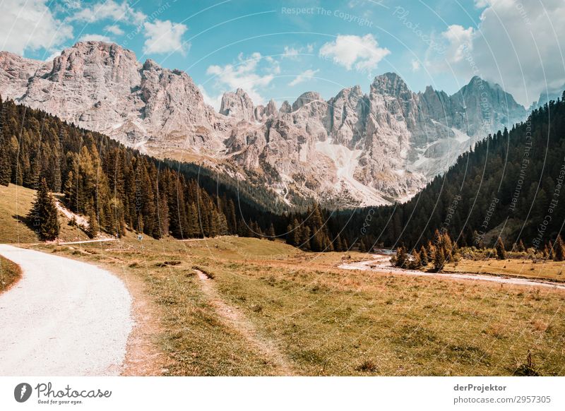 Dolomites with path in the foreground Adventure Hiking Beautiful weather Bad weather Fog Peak Summer Landscape Nature Environment Far-off places Freedom