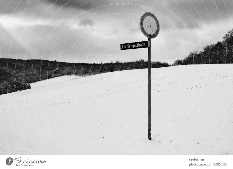 Which way? Calm Far-off places Freedom Hiking Environment Nature Landscape Clouds Winter Ice Frost Snow Meadow Forest Hill Road sign Esthetic Loneliness Horizon