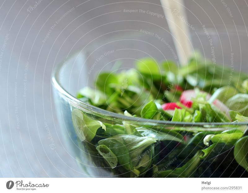 green salad with radishes in a glass bowl Food Lettuce Salad Lamb's lettuce Radish Nutrition Lunch Organic produce Vegetarian diet Diet Bowl Spoon Glass Eating