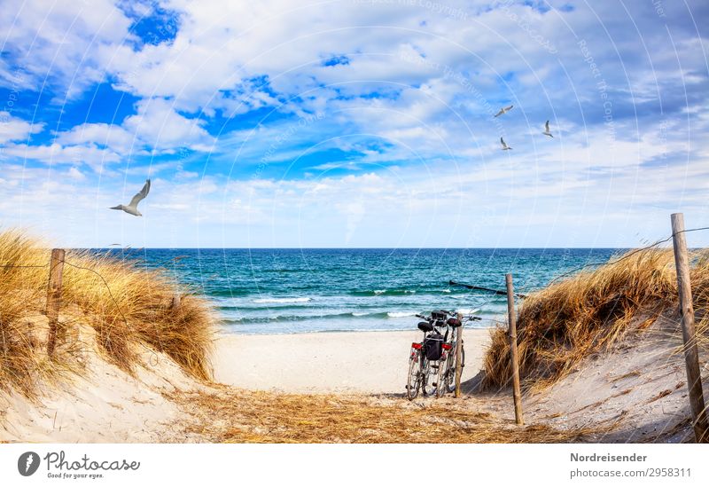 Experience the Baltic Sea by bike Lifestyle Vacation & Travel Tourism Trip Cycling tour Summer vacation Sun Beach Sand Water Clouds Beautiful weather Grass