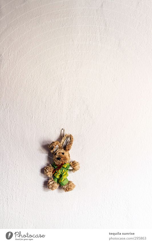 Easter over Wall (barrier) Wall (building) Rendered facade Animal Pet Hare & Rabbit & Bunny Easter Bunny Cuddly toy 1 White Colour photo Interior shot Deserted