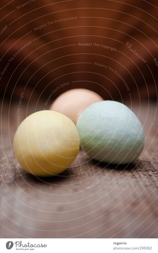 Egg search finally completed! Food Easter egg Decoration Wooden board Blue Brown Multicoloured Yellow Pink Moody Oval Colour photo Subdued colour Interior shot