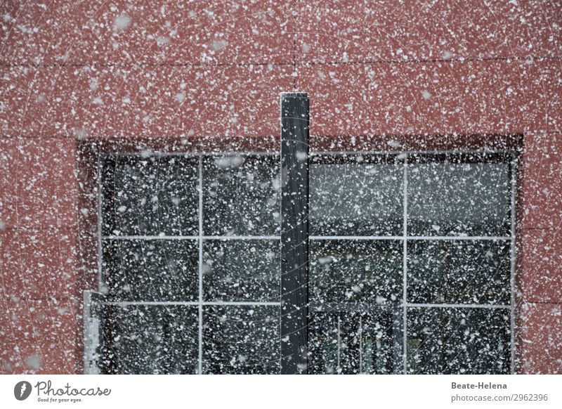 winter pointillism Nature Winter Weather Snowfall Saarbrücken Downtown House (Residential Structure) Building Architecture Wall (barrier) Wall (building) Facade