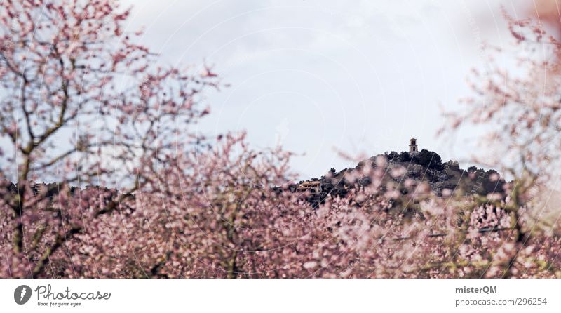 Almond blossom. Art Esthetic Spring Spring day Spring colours Almond tree Pink Blossoming Green pastures Majorca Tower Far-off places Fantastic Kitsch Bud