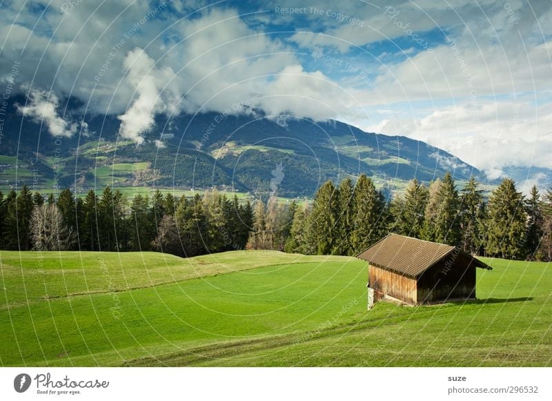 Look mer mal Far-off places Summer Mountain House (Residential Structure) Environment Nature Landscape Elements Sky Clouds Climate Beautiful weather Tree Meadow