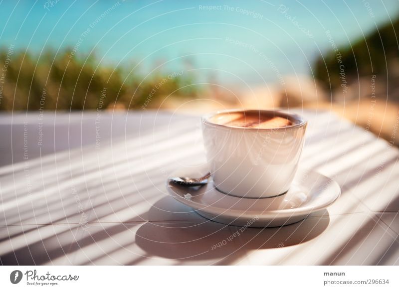 beach coffee To have a coffee Beverage Cold drink Hot drink Coffee Espresso Lifestyle Healthy Eating Vacation & Travel Beach bar Nature Summer Beautiful weather