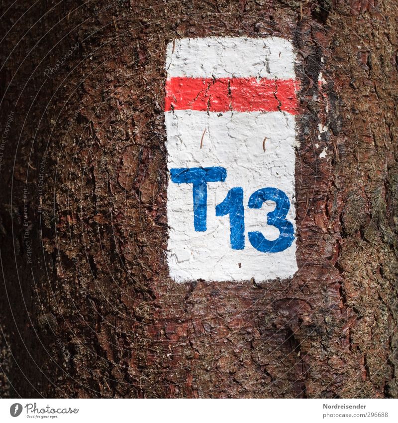 T 13 Hiking Agriculture Forestry Tree Lanes & trails Wood Sign Characters Digits and numbers Signs and labeling Beginning Colour Tourism Pictogram Footpath
