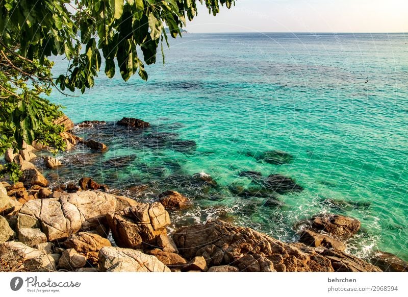 watercolours Dream pretty Turquoise Rock Palm tree Wanderlust Gorgeous Paradise Dream island perhentian besar Malaya Asia Fantastic Exotic Exceptional Island