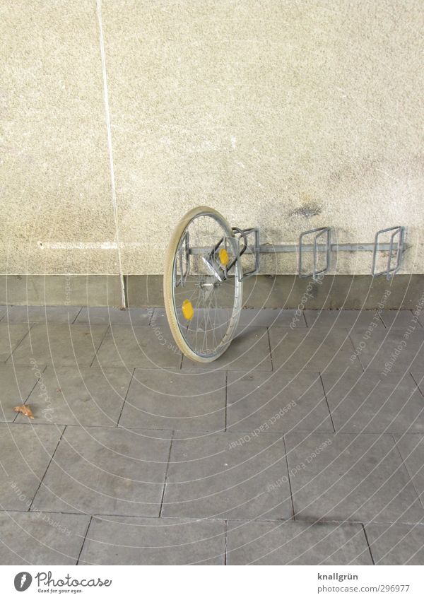 ride a unicycle Leisure and hobbies Cycling Ride a unicycle Bicycle Wall (barrier) Wall (building) Facade Bicycle rack Paving tiles Reflector Bicycle tyre