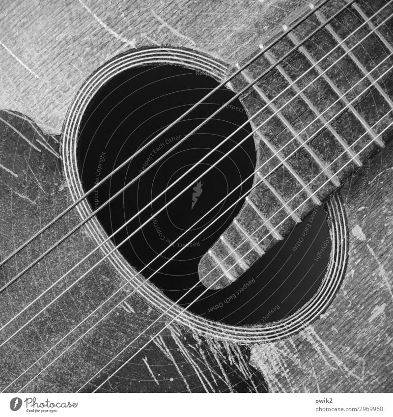 tonewood Music Musical instrument Mandolin soundproof Musical instrument string collar Wood Metal Old Historic Style Past double strings Black & white photo