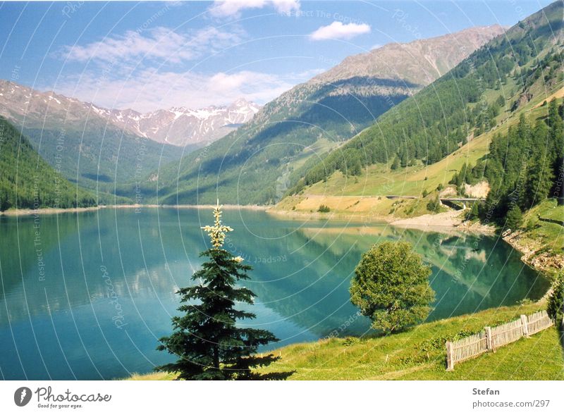 reflections Lake Reservoir Fir tree Tree South Tyrol Mountain Vernagt Sky Alps Val Senales