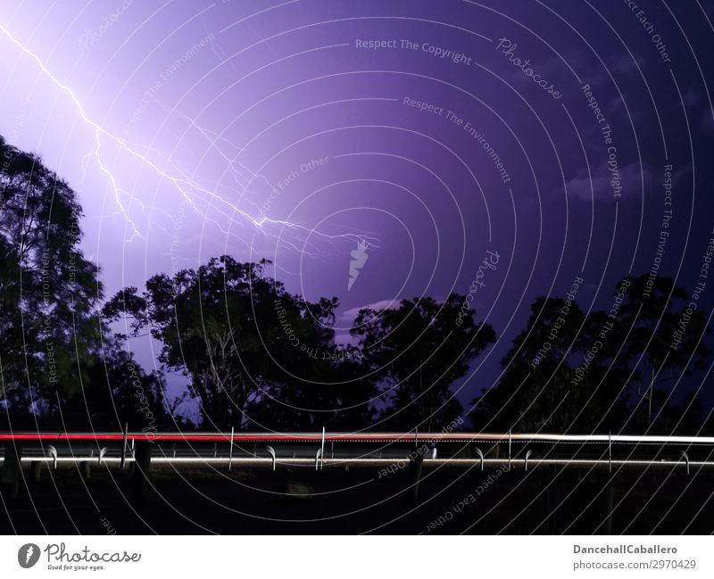 Holterdipolter | flashed Nature Storm clouds Night sky Bad weather Thunder and lightning Lightning Tree Transport Motoring Street Car Driving Rebellious Speed