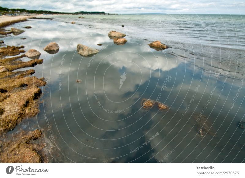 Baltic coast Vacation & Travel Island Coast Mecklenburg-Western Pomerania Ocean good for the monk Nature Baltic Sea Baltic island Travel photography Rügen Sand