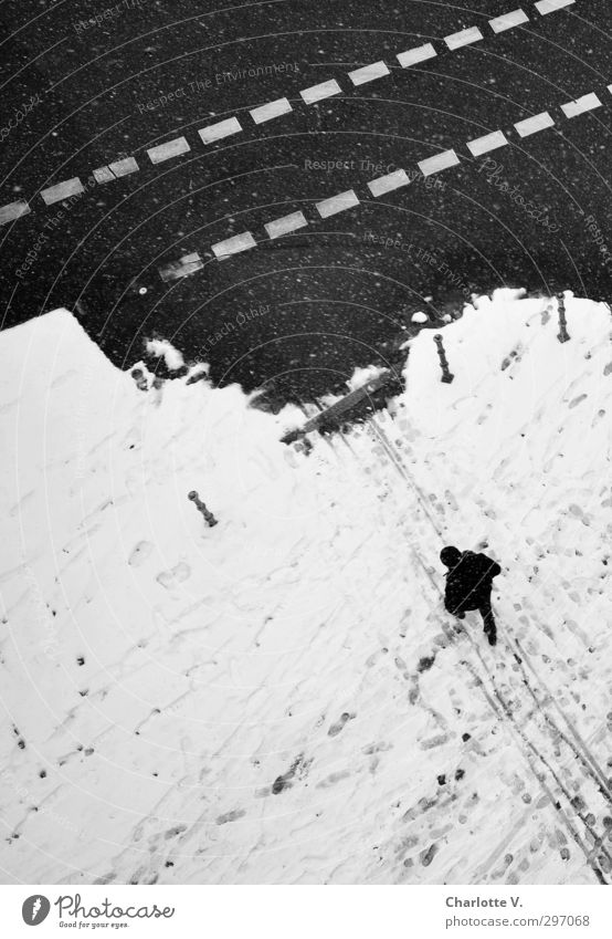 bystander Human being Masculine Man Adults 1 Bad weather Snow Snowfall Berlin Pedestrian Sidewalk Traffic lane Lane markings Bollard Signs and labeling Going