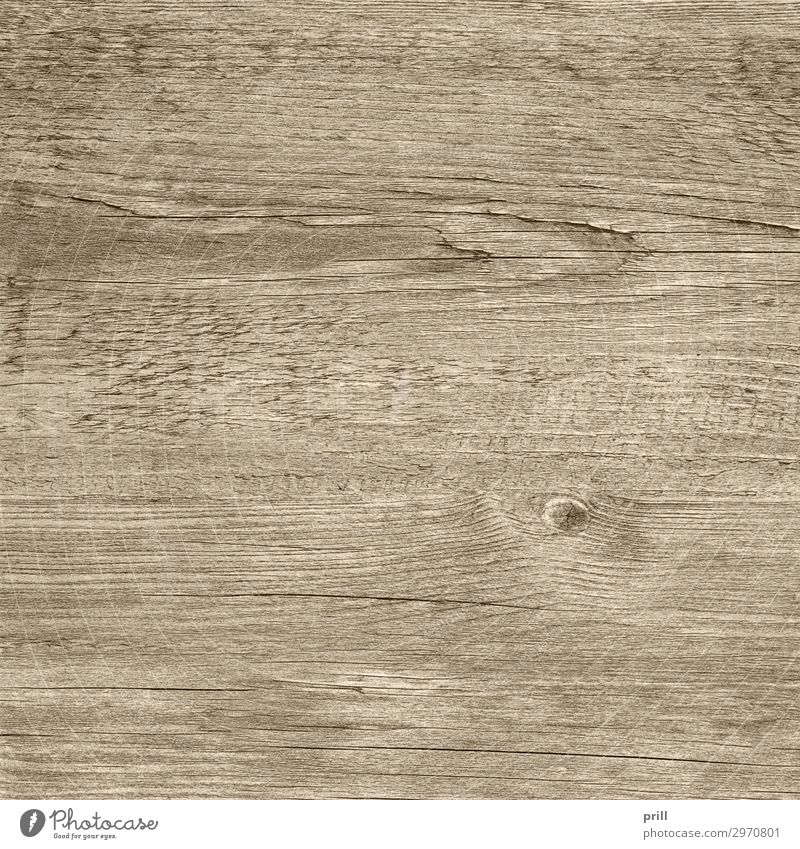 wooden surface Grain Flat (apartment) Decoration Furniture Nature Forest Wood Line Old Brown Arrangement Quality Wood grain Texture of wood wood surface board