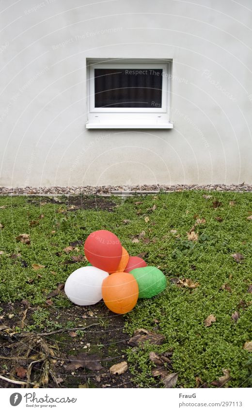 the rest of the fixed Lawn Leaf Wall (barrier) Wall (building) Window Courtyard Balloon Lie Green Orange Red White process Apocalyptic sentiment Sadness