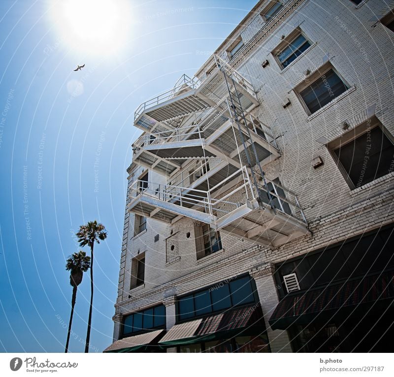 Escape from the Sun palms Los Angeles California House (Residential Structure) Manmade structures Building Architecture Wall (barrier) Wall (building) Stairs