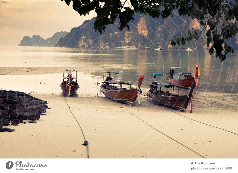 Long tail boats in Phi Phi Island, Krabi, Thailand. Exotic Beautiful Relaxation Calm Swimming & Bathing Leisure and hobbies Fishing (Angle) Vacation & Travel