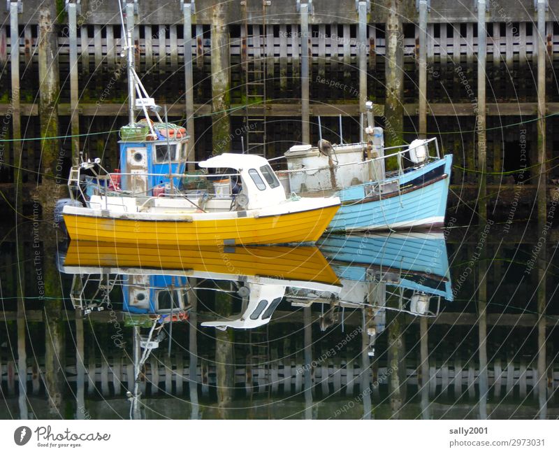 Quiet in the harbour... Navigation Fishing boat Motorboat Harbour Firm Together Maritime Blue Yellow Serene Patient Calm Break Fishery 2 Small Drop anchor