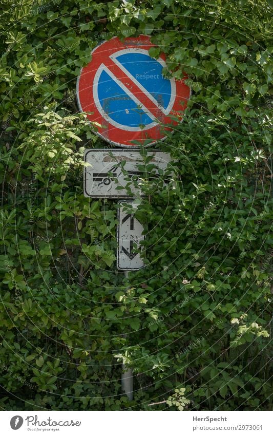 waxing in or towing off Nature Plant Bushes Foliage plant Transport Road traffic Motoring Road sign Metal Sign Signage Warning sign Natural Wild Green Growth
