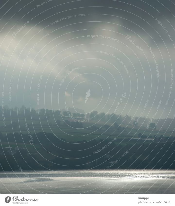 silver Environment Nature Landscape Air Water Sky Clouds Horizon Summer Beautiful weather Fog Plant Tree Hill Lakeside Far-off places Soft Gray Green Silver