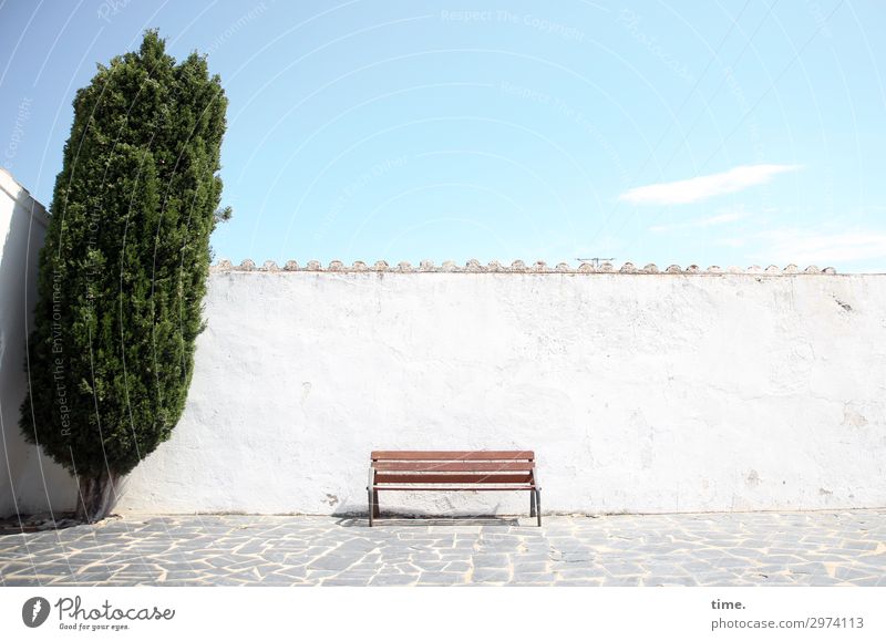 relaxing zone Bench Sky Spring Tree Cadaques Catalonia Spain Places Wall (barrier) Wall (building) Tile Relaxation Romance Serene Patient Calm Endurance