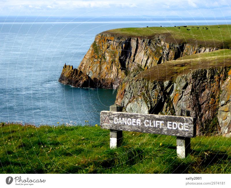 from here on it gets dangerous... Nature Landscape Beautiful weather Meadow Coast Ocean Irish Sea Scotland Cow Herd Signage Warning sign Far-off places Infinity